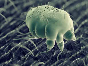 UK Scientists Find Vitamin D Deficiency Linked to 33% Higher Risk of Hospitalization from Winter Respiratory Infections