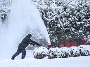 Crippling Winter Storm Fern to Bring Up to Two Feet of Snow and Crippling Ice, as Meteorologists Warn of 'Devastation' from Texas to Tennessee
