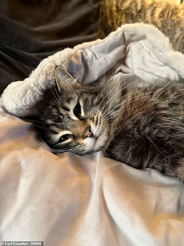 Shocking Footage Shows Delivery Driver Allegedly Stealing Family's Cat in Elland