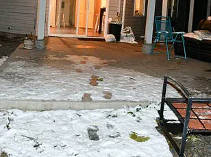 Idaho State Police Release Graphic Crime Scene Photos from 2022 University of Idaho Murders, Sparking Controversy