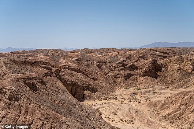 Community Outpouring Spurs Calls for Stricter Safety Regulations After Dune Buggy Crash Leaves Woman in Critical Condition