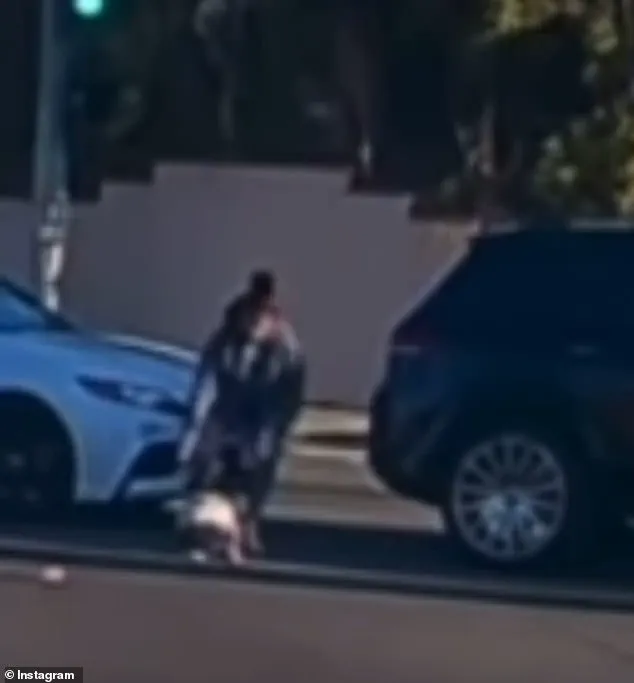 Toddler Flies from Moving Vehicle in Fullerton as Viral Footage Sparks Outcry
