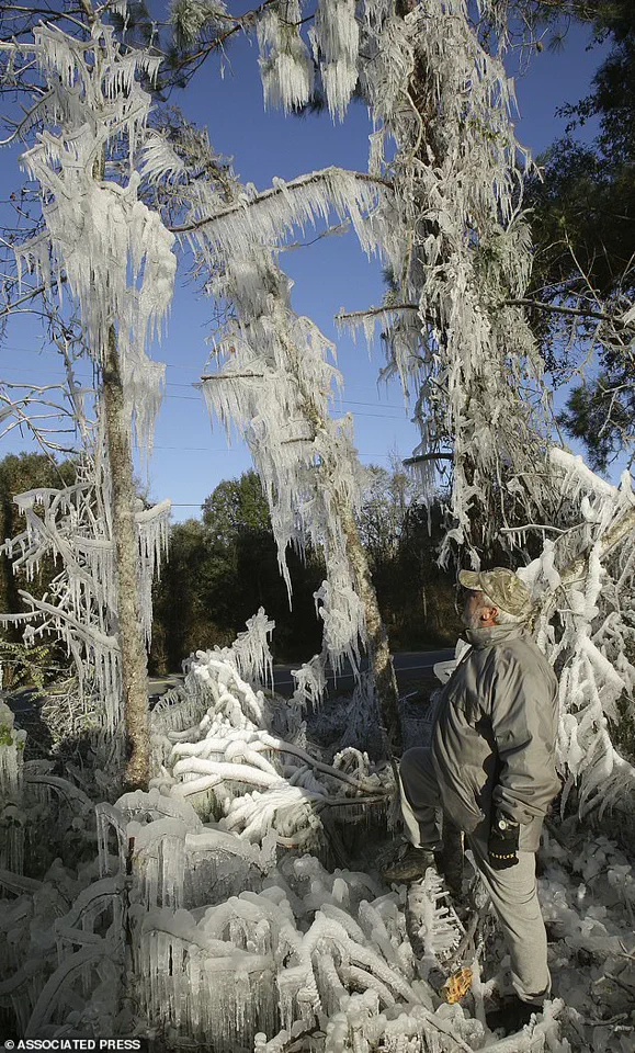 Historic Cold Snap Slams Miami as Residents and Meteorologists Sound the Alarm