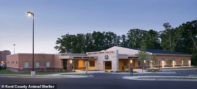 After a Year of Searching, Julie's Beloved Puppy Walker Found Alive: 'The Phone Call Shattered My Silence' – A Heartwarming Reunion 50 Miles Away