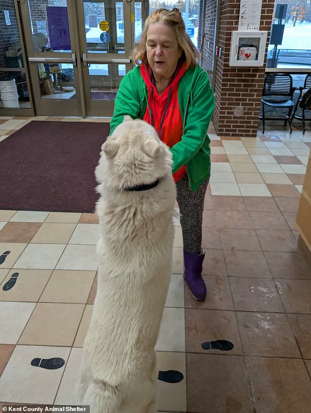 After a Year of Searching, Julie's Beloved Puppy Walker Found Alive: 'The Phone Call Shattered My Silence' – A Heartwarming Reunion 50 Miles Away