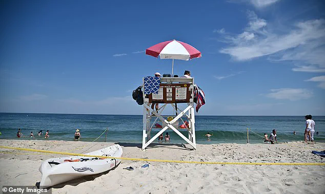 Exclusive Glimpse into 19th-Century Maritime History: The Discovery of the Lawrence N. McKenzie on New Jersey Shores