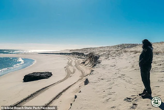 Exclusive Glimpse into 19th-Century Maritime History: The Discovery of the Lawrence N. McKenzie on New Jersey Shores
