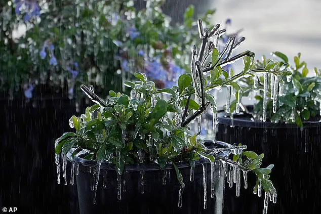 Winter Storm Gianna Threatens 35 Million Americans with Extreme Weather as Bomb Cyclone Intensifies