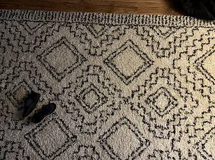 Viral Optical Illusion Challenge: Can You Spot the Hidden Orange Cat in This Snowy Backyard?