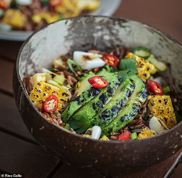 Winter Salads: A Hearty and Nourishing Alternative to Traditional Comfort Foods