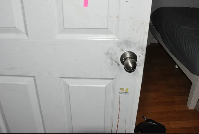 Chilling New Chapter in Idaho Murders Investigation as 3,000 Crime Scene Photos Leak, Sparking FBI Analysis