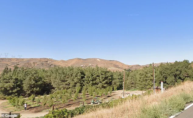 Gold Oak Ranch: Disney's Secret Sanctuary in Placerita Canyon