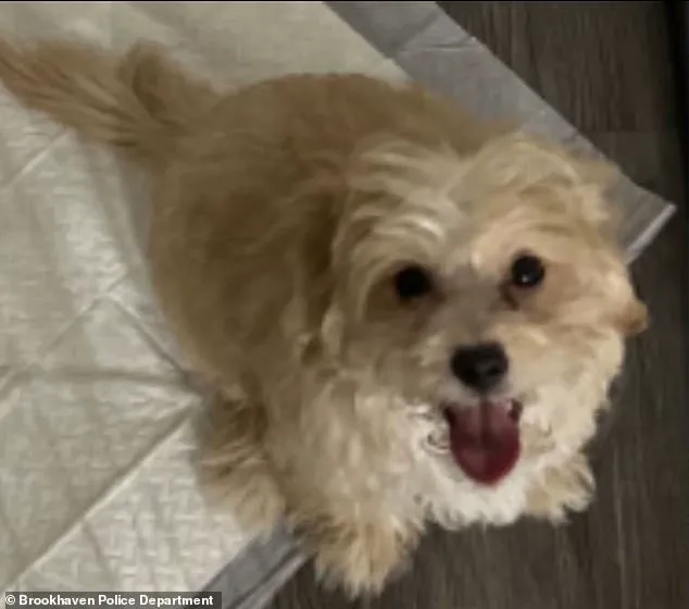 19-Year-Old Rapper Aspen Kartier Arrested After Viral Twitch Stream Allegations of Animal Cruelty