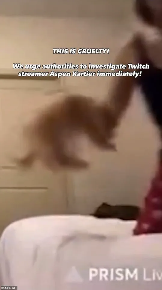 19-Year-Old Rapper Aspen Kartier Arrested After Viral Twitch Stream Allegations of Animal Cruelty