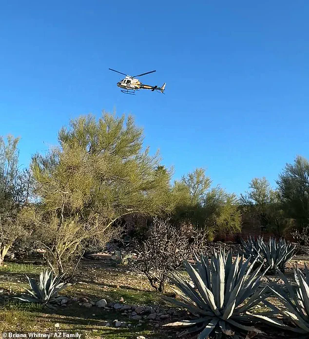 Abduction of 84-Year-Old Nancy Guthrie Highlights Concerns Over Coordinated Crime and Elderly Safety