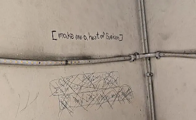 Ghaziabad Tragedy: Three Sisters Jump to Death After Father Confiscates Phones