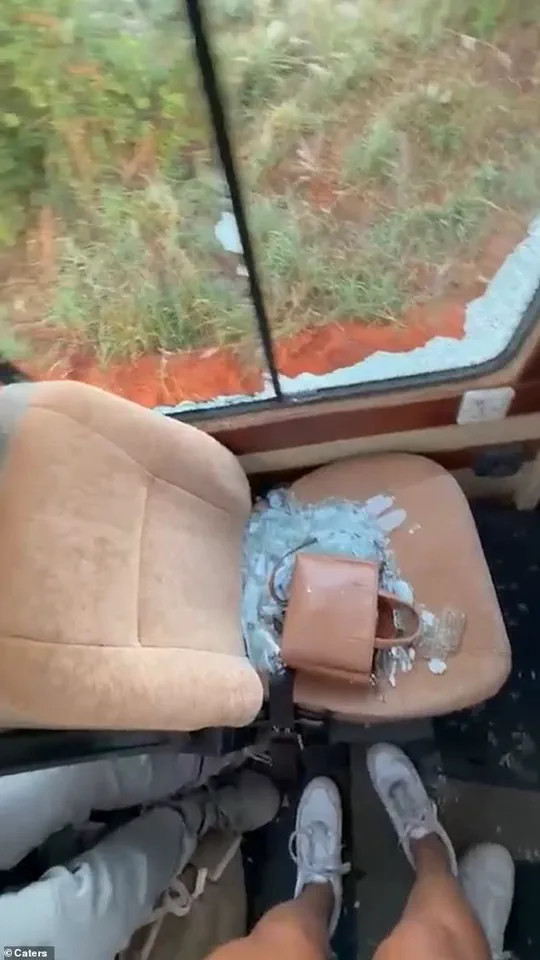 Calm Before the Storm: Elephant's Sudden Charge Shatters Safari Truck