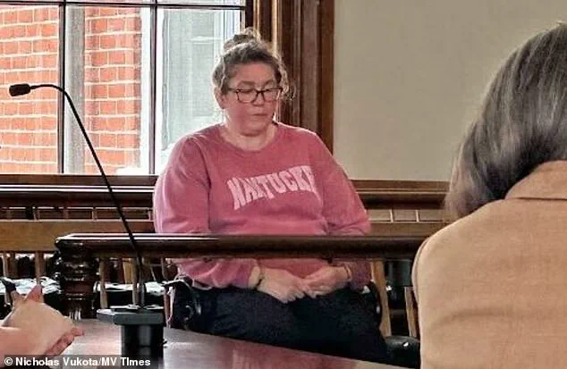 Civil Lawsuit Against Babysitter in Child's Death After Being Left in Car; Lies to First Responders and Surveillance Contradictions