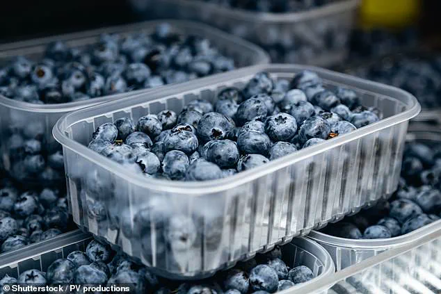 Blueberries: Unlocking Health Benefits for Gut, Brain, and Heart
