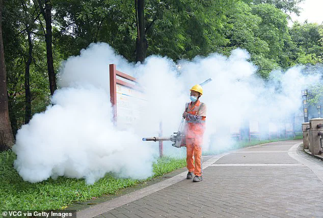 CDC Issues Travel Warnings as Chikungunya Surge Threatens Seychelles and Suriname