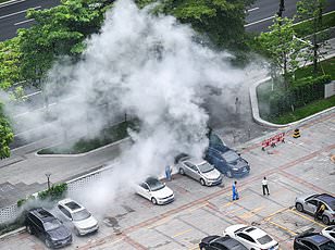 CDC Issues Travel Warnings as Chikungunya Surge Threatens Seychelles and Suriname