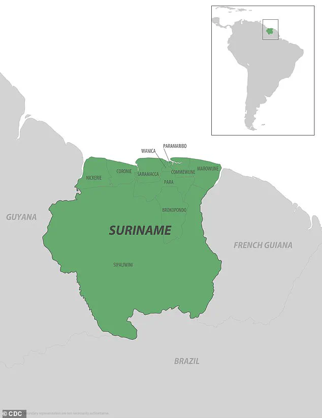 CDC Issues Travel Warnings as Chikungunya Surge Threatens Seychelles and Suriname