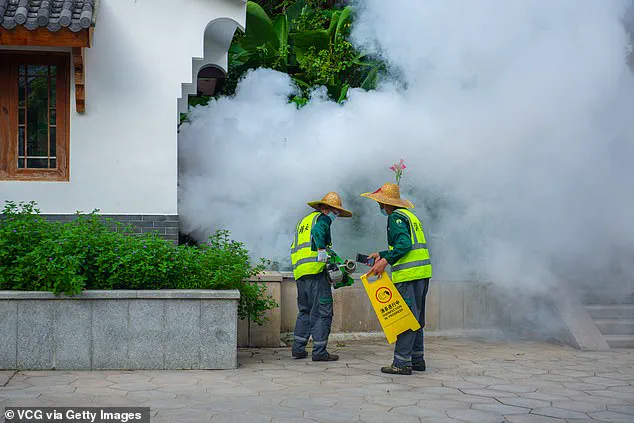 Chikungunya Virus Resurgence: 240,000+ Cases Reported in 16 Countries, CDC Issues Travel Advisories