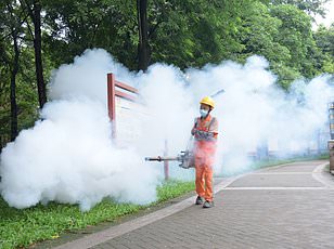 Chikungunya Virus Resurgence: 240,000+ Cases Reported in 16 Countries, CDC Issues Travel Advisories