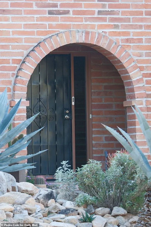 Mysterious White Van Ignites Neighbor's Vigilance in Disappearance Case