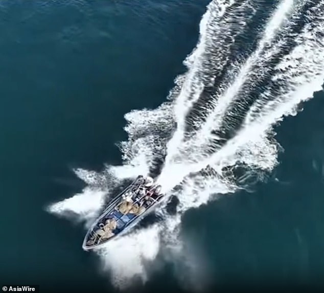 Bryde's Whale Struck by Fishing Vessel Near Weizhou Island Raises Conservation Concerns