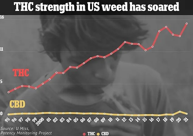 Moderate Cannabis Use Linked to Lower Dementia Risk, Study Reveals