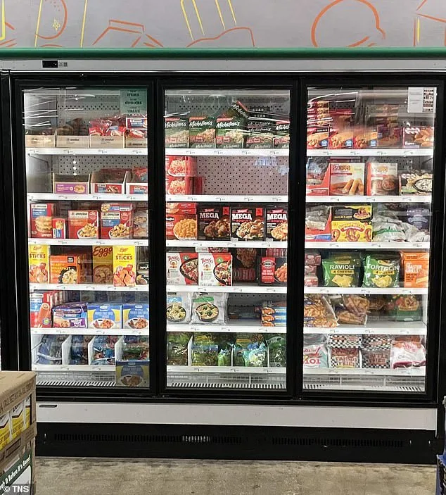 Nicaraguan Anesthesiologist Dies from Hypothermia After Entering Dollar Tree Freezer While Intoxicated