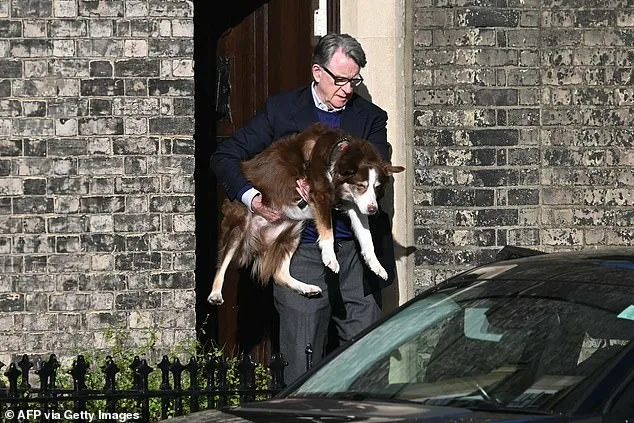 Former British Ambassador Peter Mandelson Reemerges Amid Epstein Scandal as Congress Demands Testimony