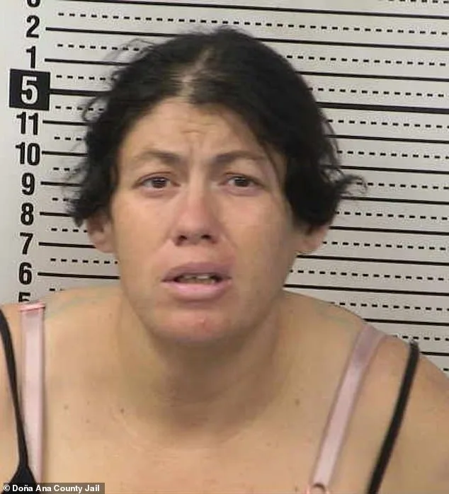 Newborn Drowns in Porta Potty; New Mexico Mother Charged with Felony Child Abuse