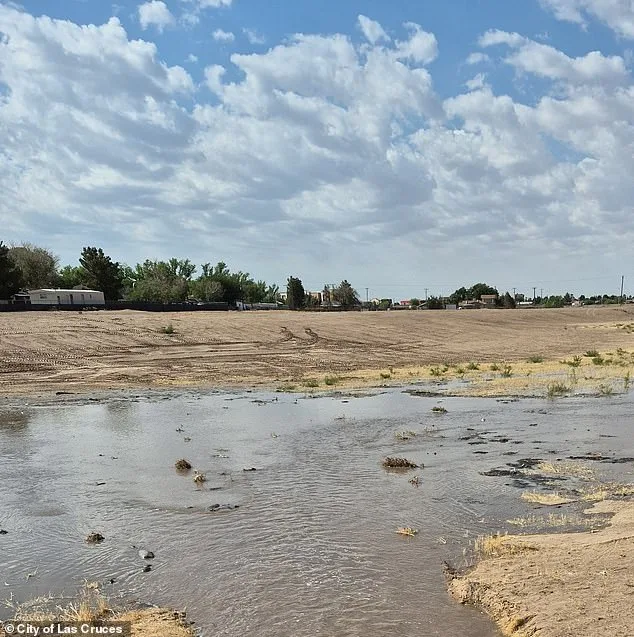 Newborn Drowns in Porta Potty; New Mexico Mother Charged with Felony Child Abuse