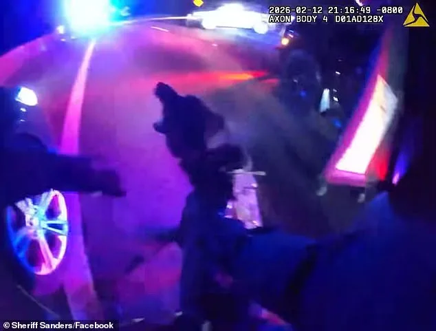 Olympia Deputy Deploys Police Grappler During High-Speed Chase With Intoxicated Driver