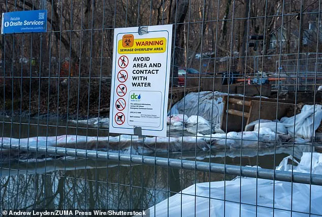 Raw Sewage Spill in Potomac River Sparks Political Blame Game as Trump Targets Maryland Governor