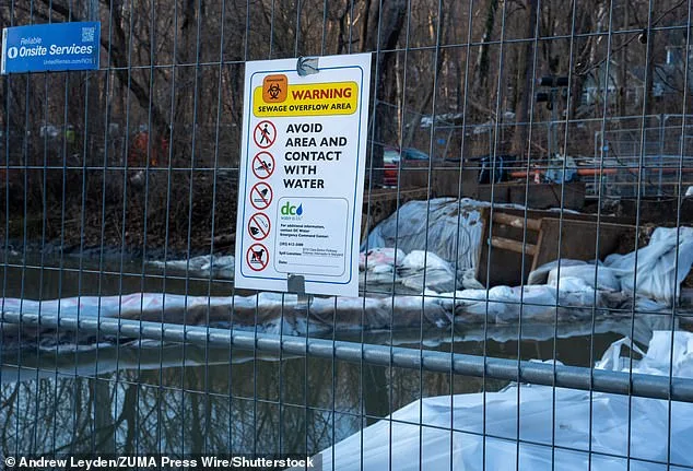 Raw Sewage Spill in Potomac River Sparks Political Blame Game as Trump Targets Maryland Governor