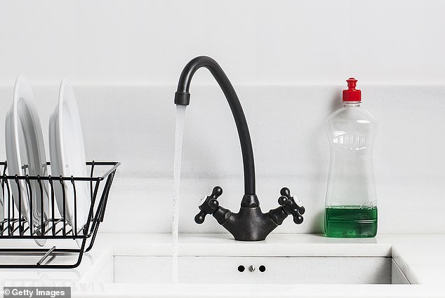 The Hidden Danger of Kitchen Sinks: How Everyday Dishwashing Habits Can Spread Harmful Bacteria and Threaten Public Health