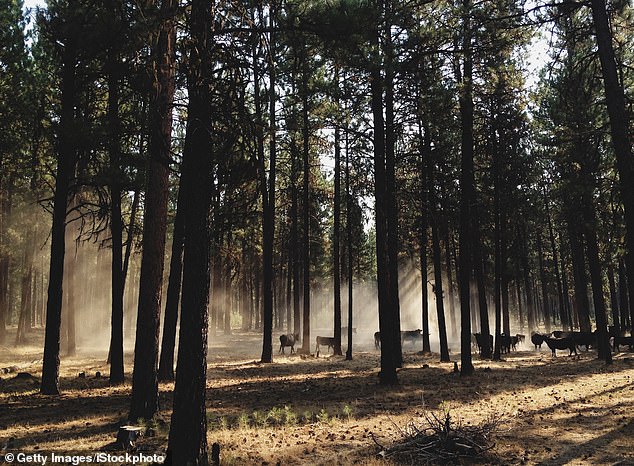 Oregon at a Crossroads: Grassroots Movement Pushes to Ban Hunting and Fishing with Ballot Initiative