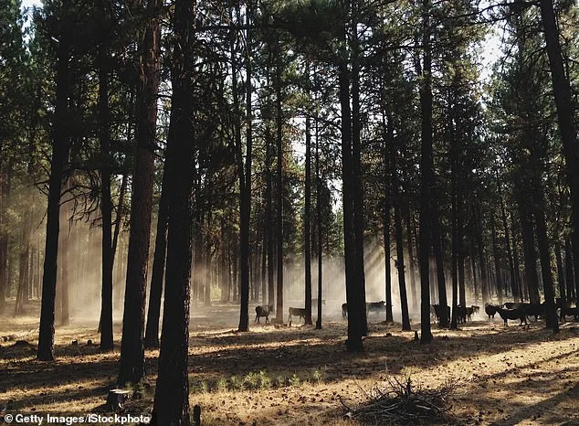 Oregon at a Crossroads: Grassroots Movement Pushes to Ban Hunting and Fishing with Ballot Initiative