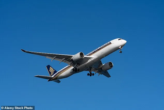 When Good Intentions Go Awry: Flight Passenger's Offer to Help Distressed Mother Backfires