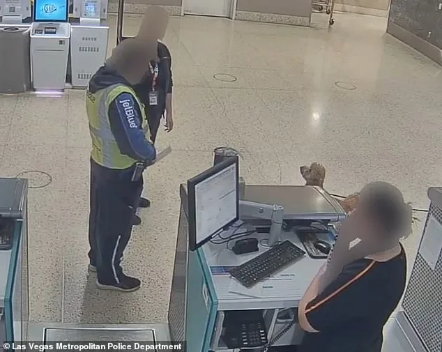 26-Year-Old Woman Arrested at Las Vegas Airport for Abandoning Puppy During Service Animal Dispute