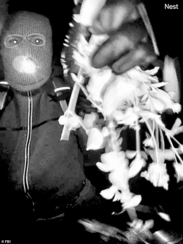 FBI Compiles Suspect List in Search for Masked Intruder in 84-Year-Old Woman's Disappearance Case