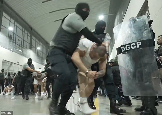 Bari Weiss Withdraws from UCLA Lecture Amid Security Concerns and Campus Pressure