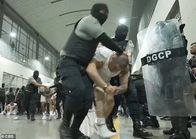 Bari Weiss Withdraws from UCLA Lecture Amid Security Concerns and Campus Pressure