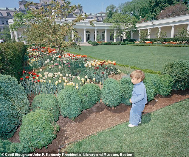 Central Park Encounter: Mother Shares Son's Survival Linked to Patrick Kennedy's Legacy