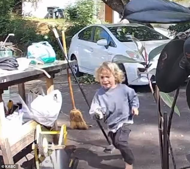 Three-Year-Old's Terrifying Encounter with Coyote in Pasadena Caught on Security Footage