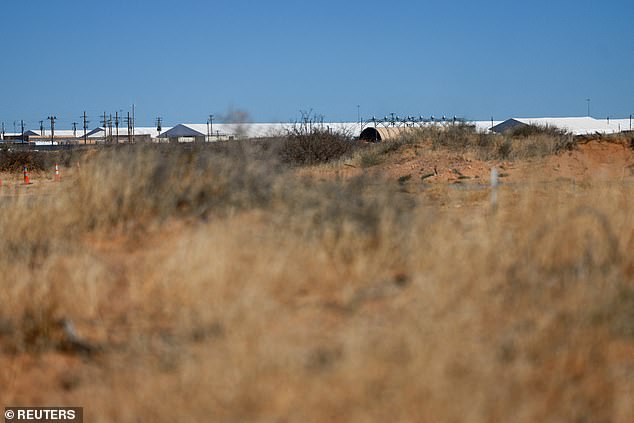 Irish Immigrant Detained by ICE Faces Domestic Violence Allegations as Visa Overstay Claims Overshadow Mistreatment Claims