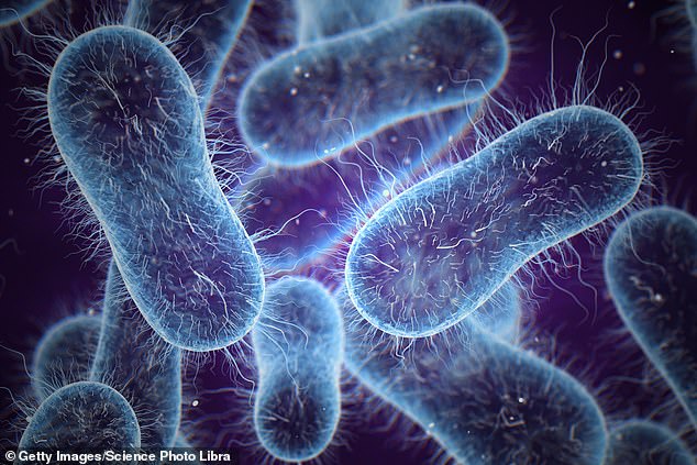 Drug-Resistant Typhoid Spreading Across Continents, Challenging Global Health Systems